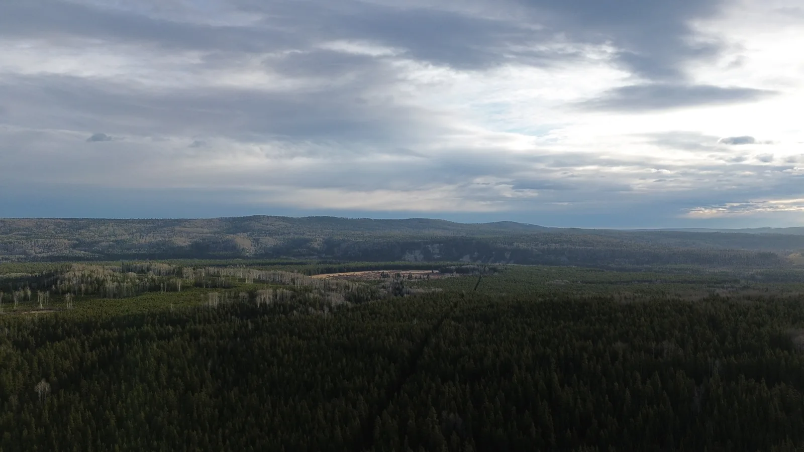Aerial view over boreal forest with cloud breaking overhead