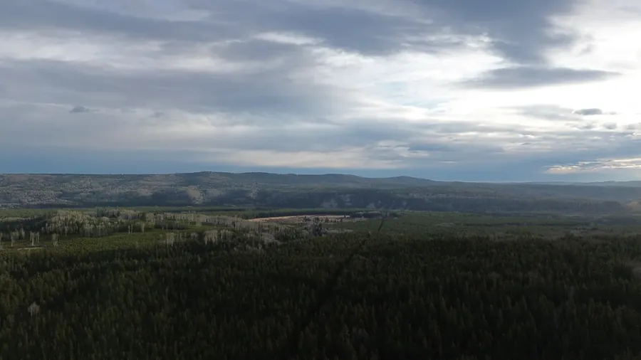 Aerial view over boreal forest with cloud breaking overhead